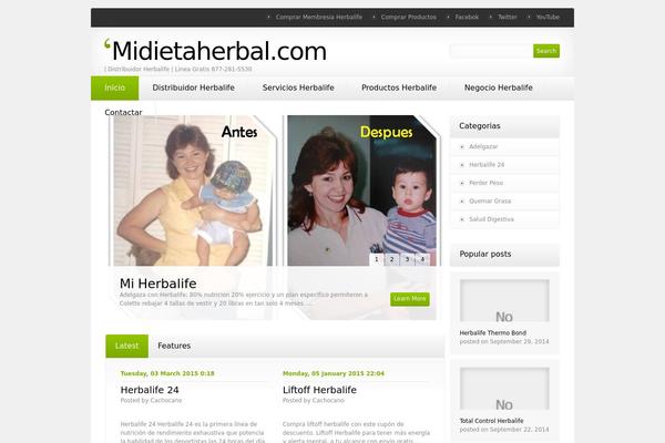 Theme1185 theme site design template sample