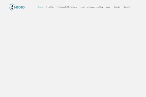 Skudo theme site design template sample