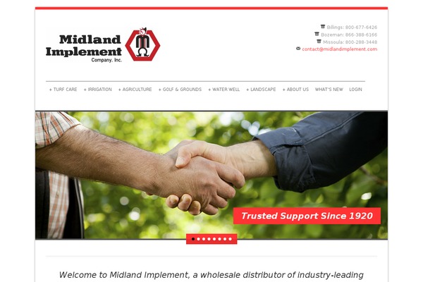 Blue Diamond theme site design template sample