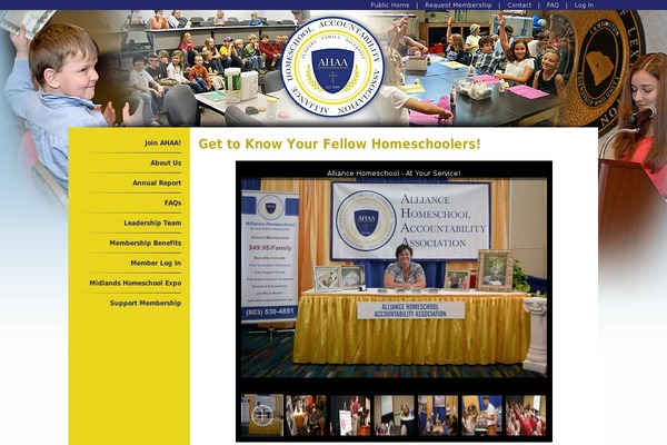 Lifestyle Pro theme site design template sample