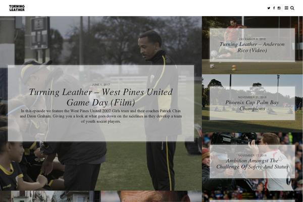 Site using Meanthemes-tools plugin