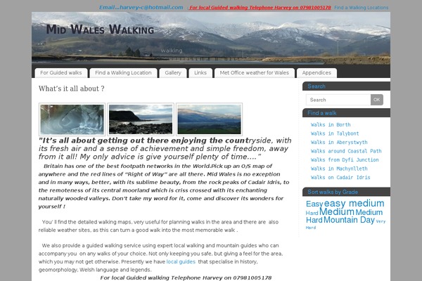 Site using Genericon'd plugin