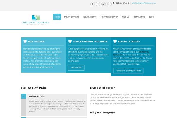 SoulMedic theme site design template sample
