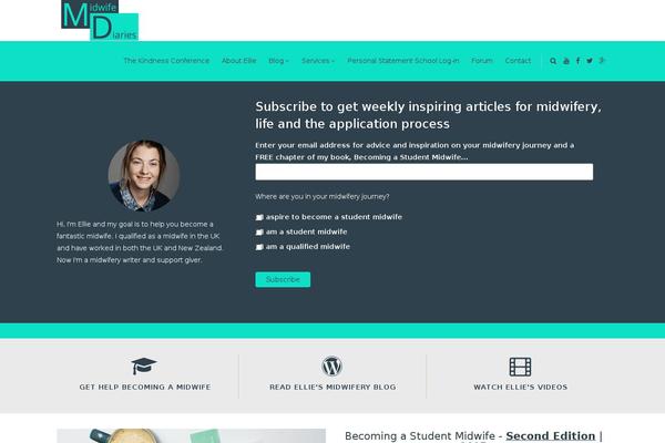 Camyno theme site design template sample