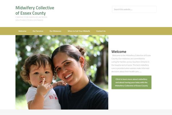 Enterprise Pro theme site design template sample