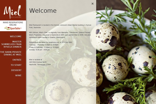 Pluto theme site design template sample