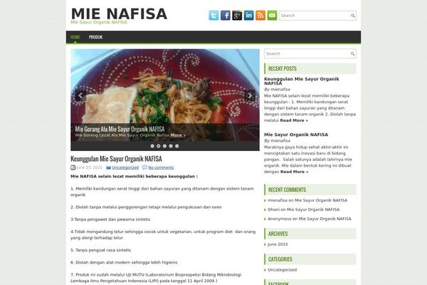 Enis theme site design template sample