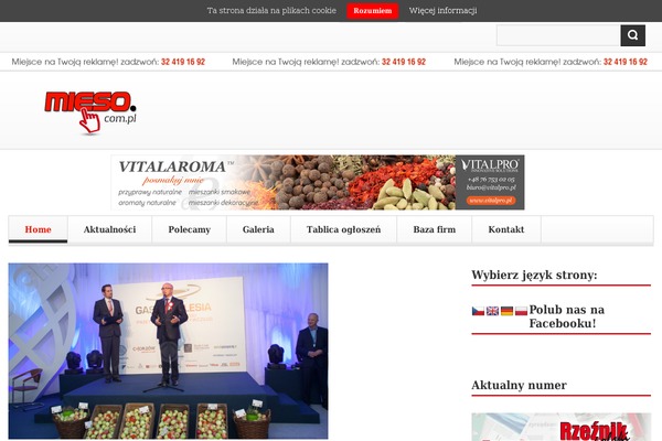 Site using Posts for Page plugin