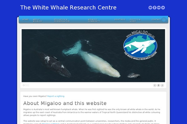 Site using Information Reel plugin