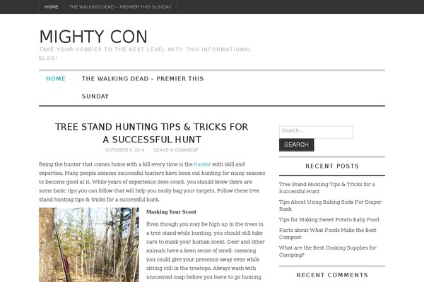 Fashionistas theme site design template sample