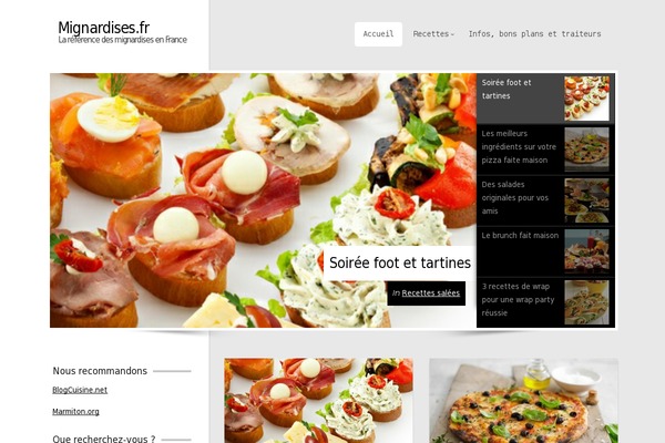 Focusblog theme site design template sample