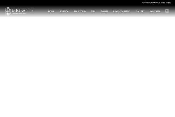 Startit theme site design template sample