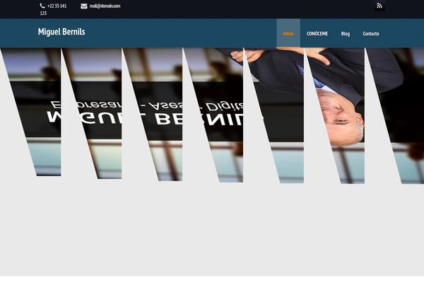 Prostyler theme site design template sample