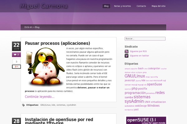 Site using SyntaxHighlighter Evolved plugin