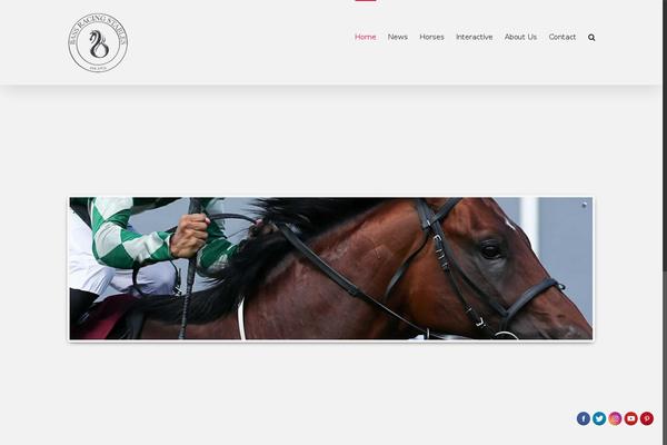 Site using Social-network-tabs plugin
