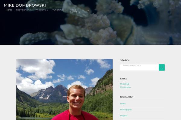 mikedombrowski.com site used TheFour Lite