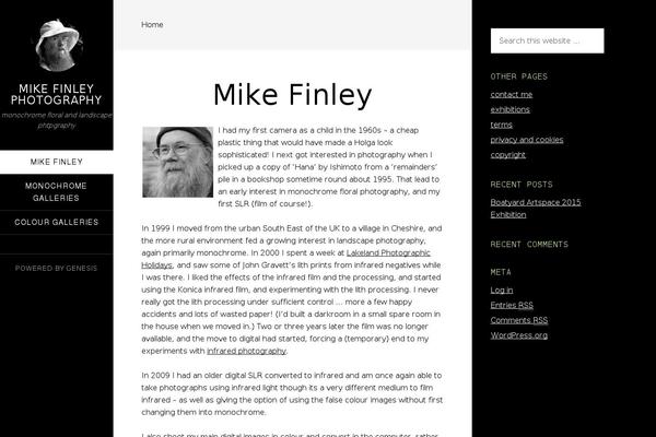 WordPress website example screenshot