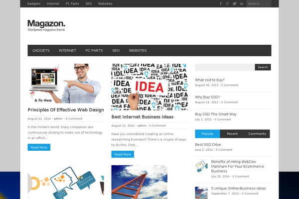 Magazon Wp theme site design template sample