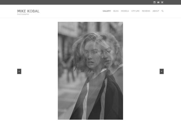 Site using Enhanced Search Box plugin