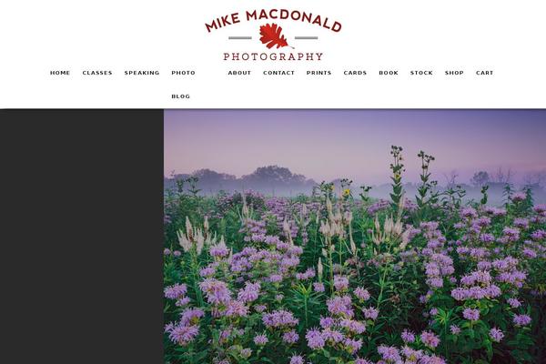 Site using WP Email Capture plugin