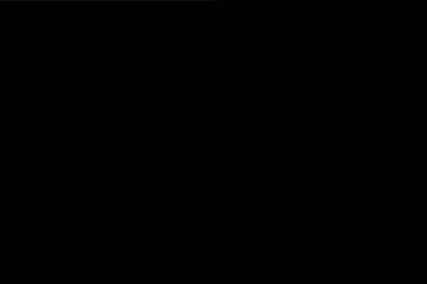 Reflex theme site design template sample