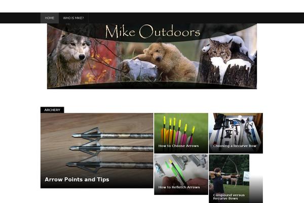 Site using Pagination by BestWebSoft plugin