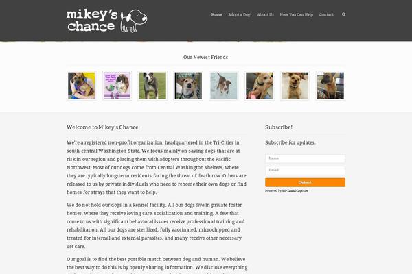 Rescue theme site design template sample