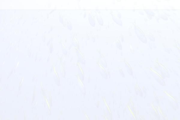 Dp-fresco theme site design template sample