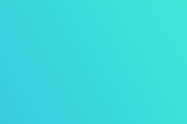 WooHoo theme site design template sample