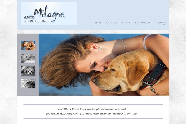 Acoustic theme site design template sample
