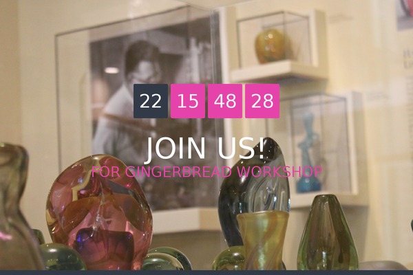 polaris_entiri theme websites examples