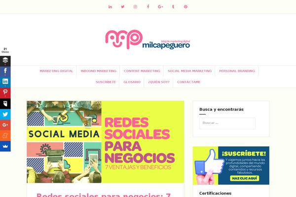 milcapeguero.com site used Amadeus