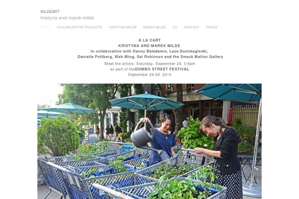WPFolio theme site design template sample