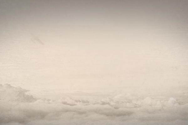 X | The Theme theme site design template sample