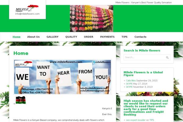 zeeMinty theme site design template sample