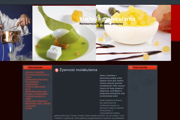 milenium.com.pl site used Burger_store3