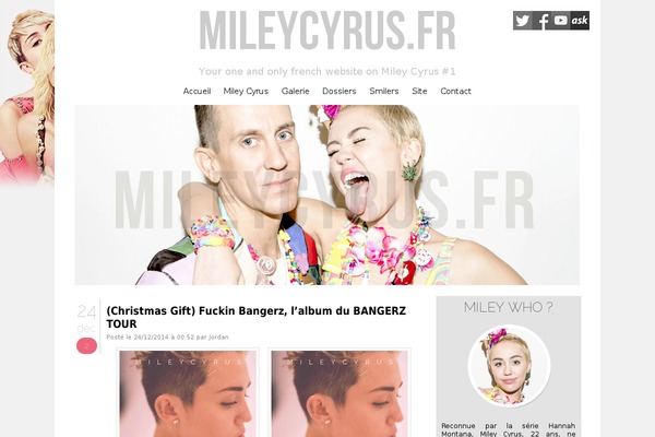 Mc theme site design template sample