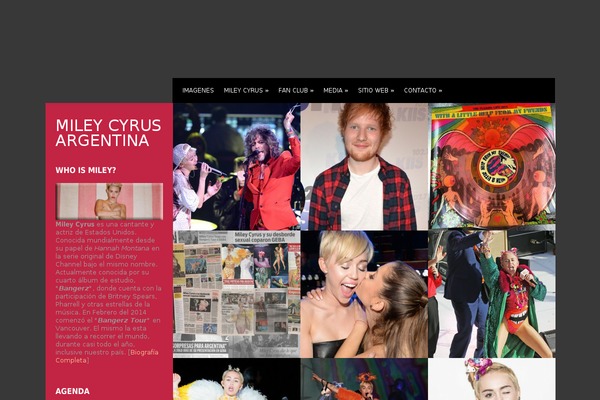 GS_Premade58_WP theme websites examples