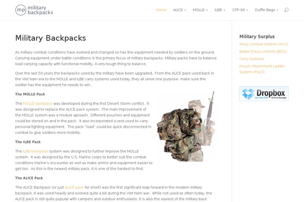 Surplus theme site design template sample