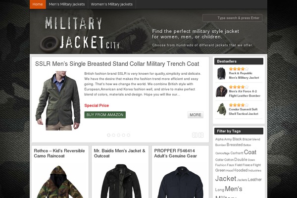 Wp Amazillionaire theme site design template sample