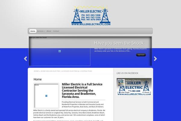 TheProfessional theme site design template sample