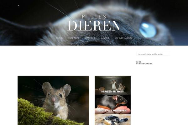 Tempest theme site design template sample