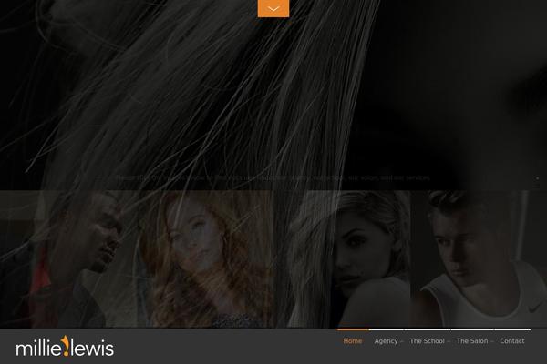 Fullpane theme site design template sample