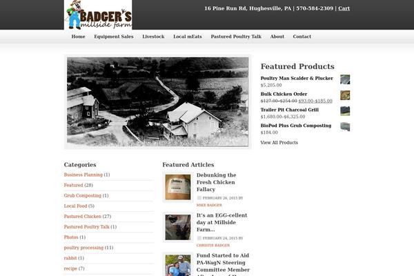 Agency Theme theme site design template sample