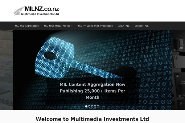 Delirium theme site design template sample