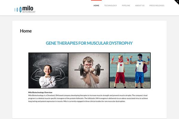 Inovado theme site design template sample