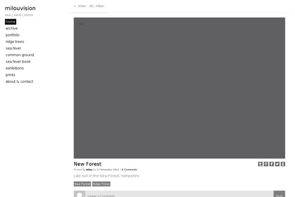 ABMP001 theme websites examples