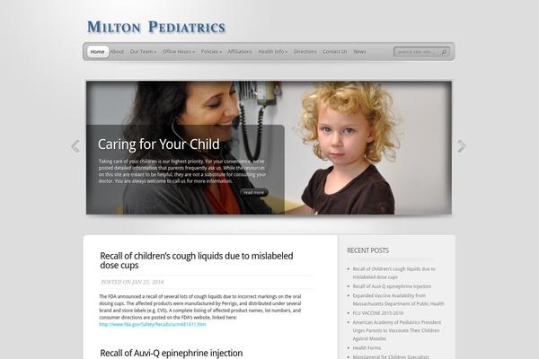 TheProfessional theme site design template sample