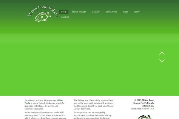 Collage theme site design template sample
