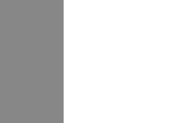 Aalto theme site design template sample